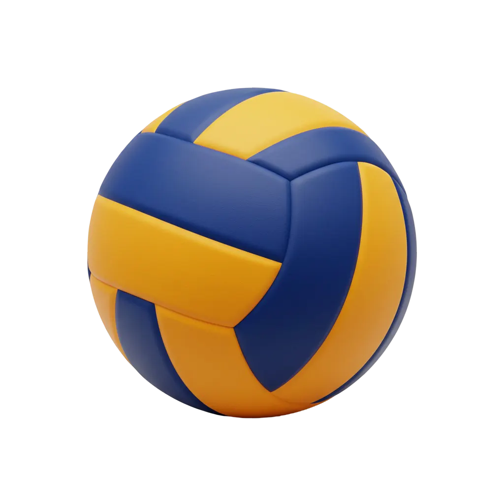 Punjab Volleyball Association archive photograph